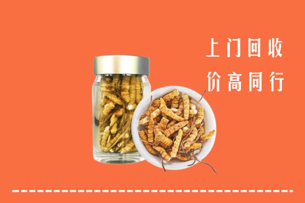 收购行情：万宁回收冬虫夏草